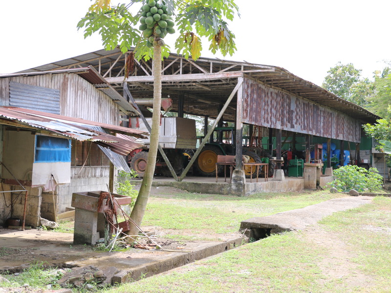 10 Bed Land For Sale in Zancudo Costa Rica